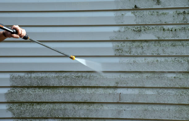 Best Roof Power Washing Services  in Carthage, TX