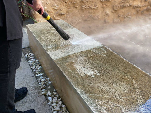 Best Pressure Washing Services Near Me  in Carthage, TX