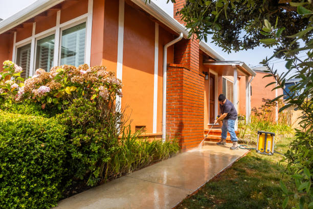 Best Power Washing Near Me  in Carthage, TX