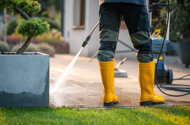 Best House Pressure Washing  in Carthage, TX